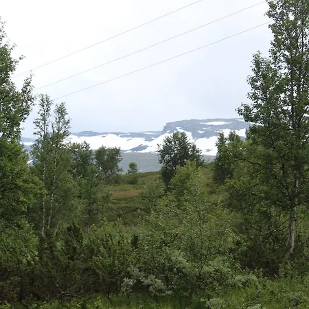Nyaraló Jonstolen By Norgesbooking - At 1020 Masl
