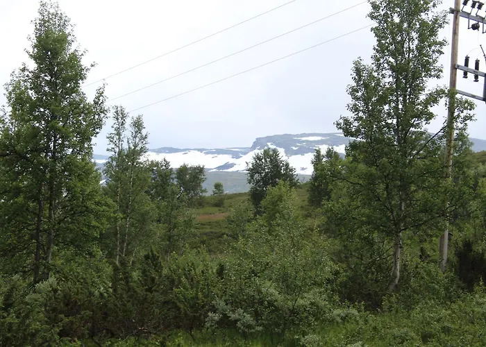 Hébergement de vacances Jonstolen By Norgesbooking - At 1020 Masl